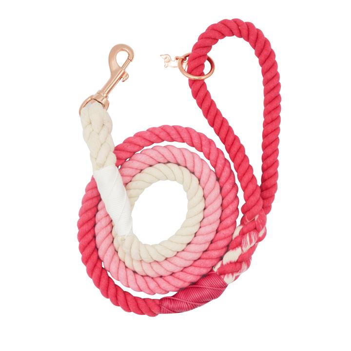Dog Rope Leash, Ombre Pink